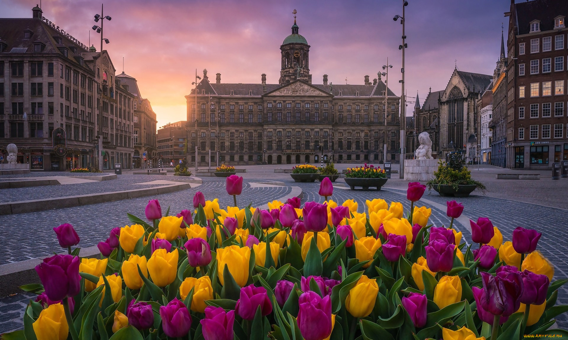 Цветы пл. Площадь Нидерландов. Бельгия цветы на площади красиво. Цветочная площадь. Площадь цветов.